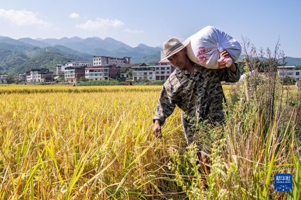 跑胡子必胜技巧